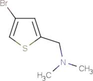 (4-Bromothiophen-2-yl)-n,n-dimethylmethanamine