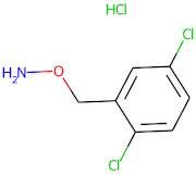 O-[(2,5-Dichlorophenyl)methyl]hydroxylamine hydrochloride