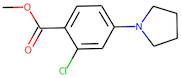 Methyl 2-chloro-4-(pyrrolidin-1-yl)benzoate