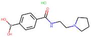 4-[(2-Pyrrolidin-1-ylethyl)carbamoyl]benzeneboronic acid hydrochloride