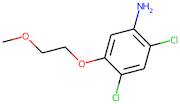 2,4-Dichloro-5-(2-methoxyethoxy)aniline