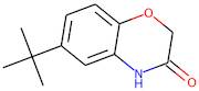 6-tert-Butyl-3,4-dihydro-2H-1,4-benzoxazin-3-one