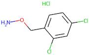 O-[(2,4-Dichlorophenyl)methyl]hydroxylamine hydrochloride