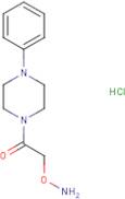 2-(Aminooxy)-1-(4-phenylpiperazin-1-yl)ethan-1-one hydrochloride