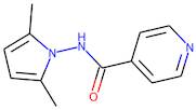 N-(2,5-Dimethyl-1H-pyrrol-1-yl)pyridine-4-carboxamide