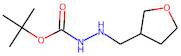 N'-[(Oxolan-3-yl)methyl](tert-butoxy)carbohydrazide