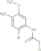 N-(2-Bromo-5-methoxy-4-methylphenyl)-2-chloroacetamide