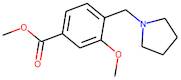 Methyl 3-methoxy-4-[(pyrrolidin-1-yl)methyl]benzoate