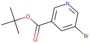 tert-Butyl 5-bromonicotinate