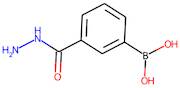 3-(Hydrazinecarbonyl)benzeneboronic acid