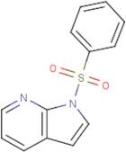 n-Benzenesulfonyl-7-azaindole