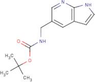 5-(n-boc-Aminomethyl)-7-azaindole