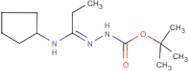 N'-[1-Cyclopentylaminopropylidene]hydrazinecarboxylic acid tert-butyl ester