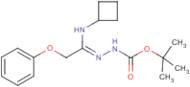 N'-[1-Cyclobutylamino-2-phenoxyethylidene]hydrazinecarboxylic acid tert-butyl ester