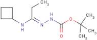 N'-[1-Cyclobutylaminopropylidene]hydrazinecarboxylic acid tert-butyl ester