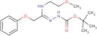 N'-[1-(2-Methoxyethylamino)-2-phenoxyethylidene]hydrazinecarboxylic acid tert-butyl ester