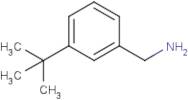 3-tert-Butyl-benzylamine hydrochloride