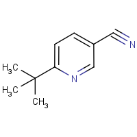 6-tert-Butyl-nicotinonitrile