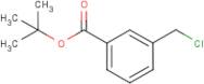 3-Chloromethyl-benzoic acid tert-butyl ester