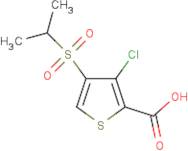 3-Chloro-4-(propane-2-sulphonyl)-thiophene-2-carboxylic acid