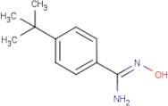 4-tert-Butyl-N'-hydroxy-benzamidine