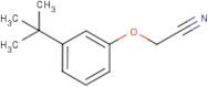 (3-tert-Butylphenoxy)acetonitrile