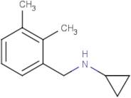 N-(2,3-Dimethylbenzyl)cyclopropanamine