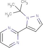 2-(1-(tert-Butyl)-1H-pyrazol-5-yl)pyrimidine