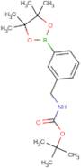 [3-(4,4,5,5-Tetramethyl-1,3,2-dioxaborolan-2-yl)-benzyl]-carbamic acid tert-butyl ester