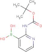 2-(tert-Butoxycarbonylamino)pyridine-3-boronic acid