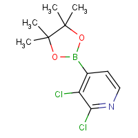 2,3-Dichloropyridine-4-boronic acid, pinacol ester