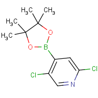 2,5-Dichloropyridine-4-boronic acid, pinacol ester