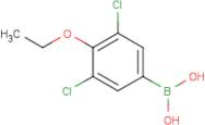 3,5-Dichloro-4-ethoxyphenylboronic acid