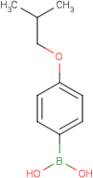 4-Isobutoxyphenylboronic acid