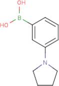 3-Pyrrolidinophenylboronic acid