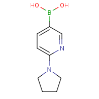 6-(Pyrrolidin-1-yl)pyridine-3-boronic acid