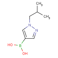 1-Isobutyl-1H-pyrazole-4-boronic acid