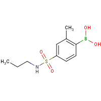 2-Methyl-4-(N-propylsulfamoyl)phenylboronic acid