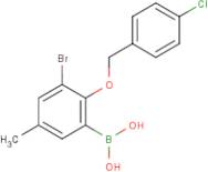 3-Bromo-2-(4'-chlorobenzyloxy)-5-methylphenylboronic acid
