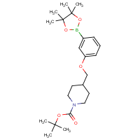 3-(N-BOC-Piperidin-4-ylmethoxy)phenylboronic acid, pinacol ester