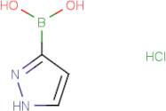 Pyrazole-3-boronic acid hydrochloride