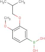 3-Isobutoxy-4-methoxyphenylboronic acid