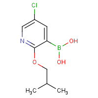 5-Chloro-2-isobutoxypyridine-3-boronic acid