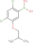 2,4-Dichloro-5-isobutoxyphenylboronic acid