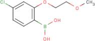 4-Chloro-2-(2-methoxyethoxy)phenylboronic acid