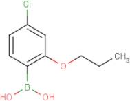 4-Chloro-2-propoxyphenylboronic acid