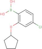 4-Chloro-2-(cyclopentyloxy)phenylboronic acid