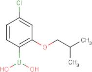 4-Chloro-2-isobutoxyphenylboronic acid