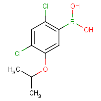 2,4-Dichloro-5-isopropoxyphenylboronic acid