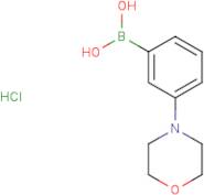 3-Morpholinophenylboronic acid hydrochloride